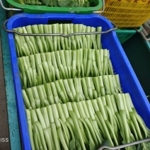 广东菜心,种植基地全国发货欢迎来电咨询