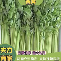 【荐】精品芹菜产地直发可视频看货需要的老板与我联系
