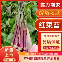 菜苔，红菜苔，白菜苔，产地直供，电商货市场货，质量保证