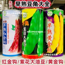 种盈早熟紫花大油豆种子东北高产豆角种籽红金钩黄金钩豆角种