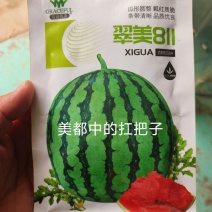 翠美811美都西瓜种子中早熟圆形大果单瓜15右糖13.2