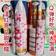 【正品】晓富彩甜糯玉米种子2018宝马甜糯玉米种子大棒鲜