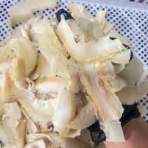 牛肚片源头工厂量大从优口感Q弹烧烤火锅串串