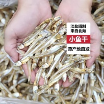 淡晒小鱼干银鱼仔白凡鱼公干鱼摆地摊热卖产品