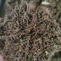 花椒杆，茎叶粉