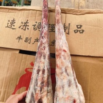 精品牛尾大量供应厂家直发价格优惠全国发货量大从