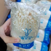 金针菇400克