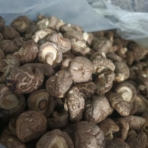 精选剪脚干香菇，有型，肉厚，原手机拍摄，量大从优