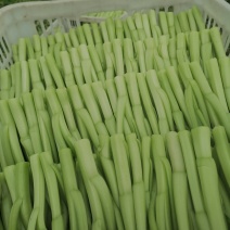 菜心