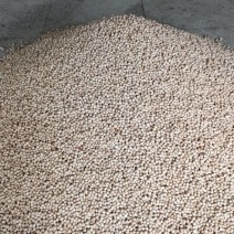 南雄老树白果，甜甜的味道，不苦绿色肉质