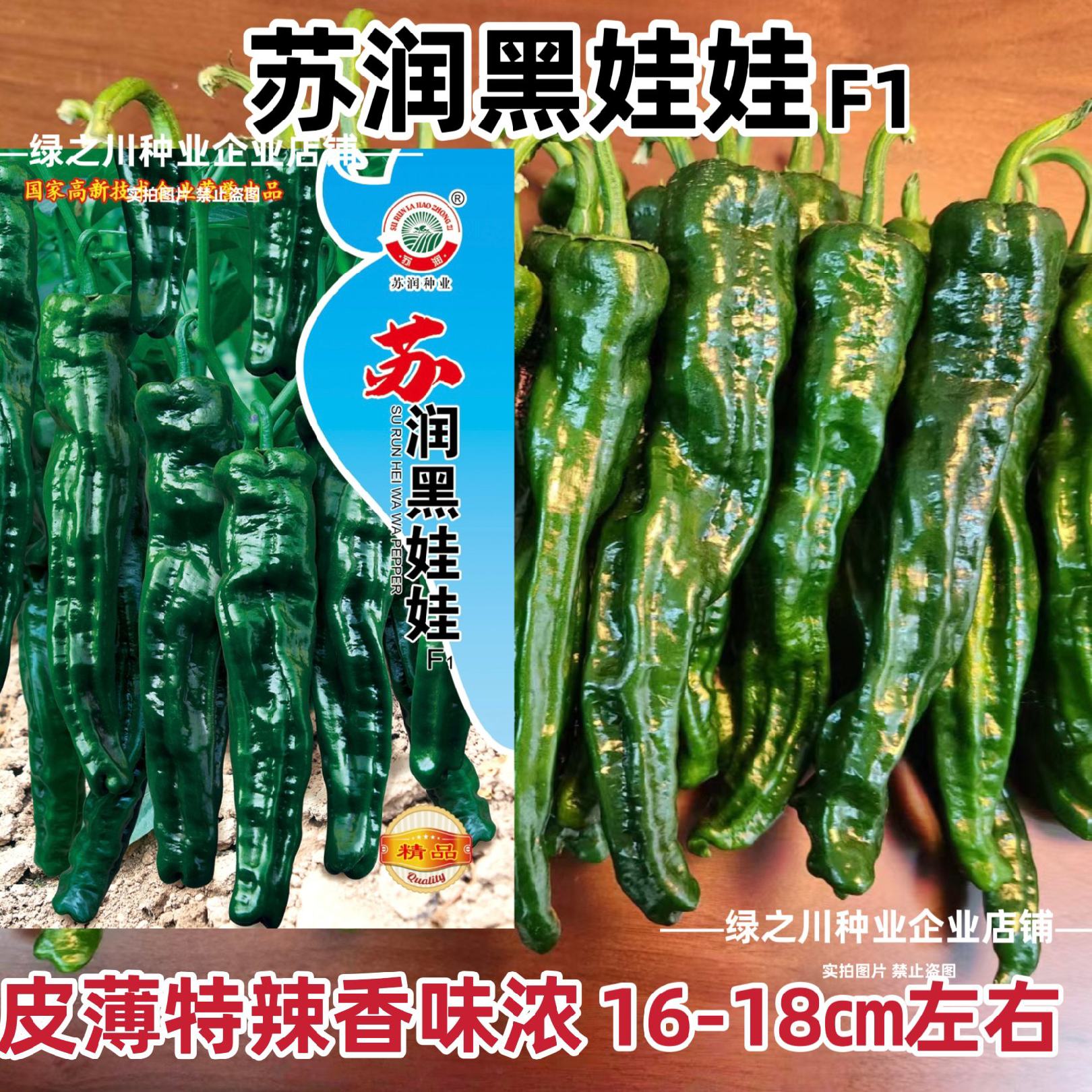[皱皮椒种子批发]江苏宿迁沭阳县辣椒种子 65.00元/袋黑娃娃 _ 一亩田