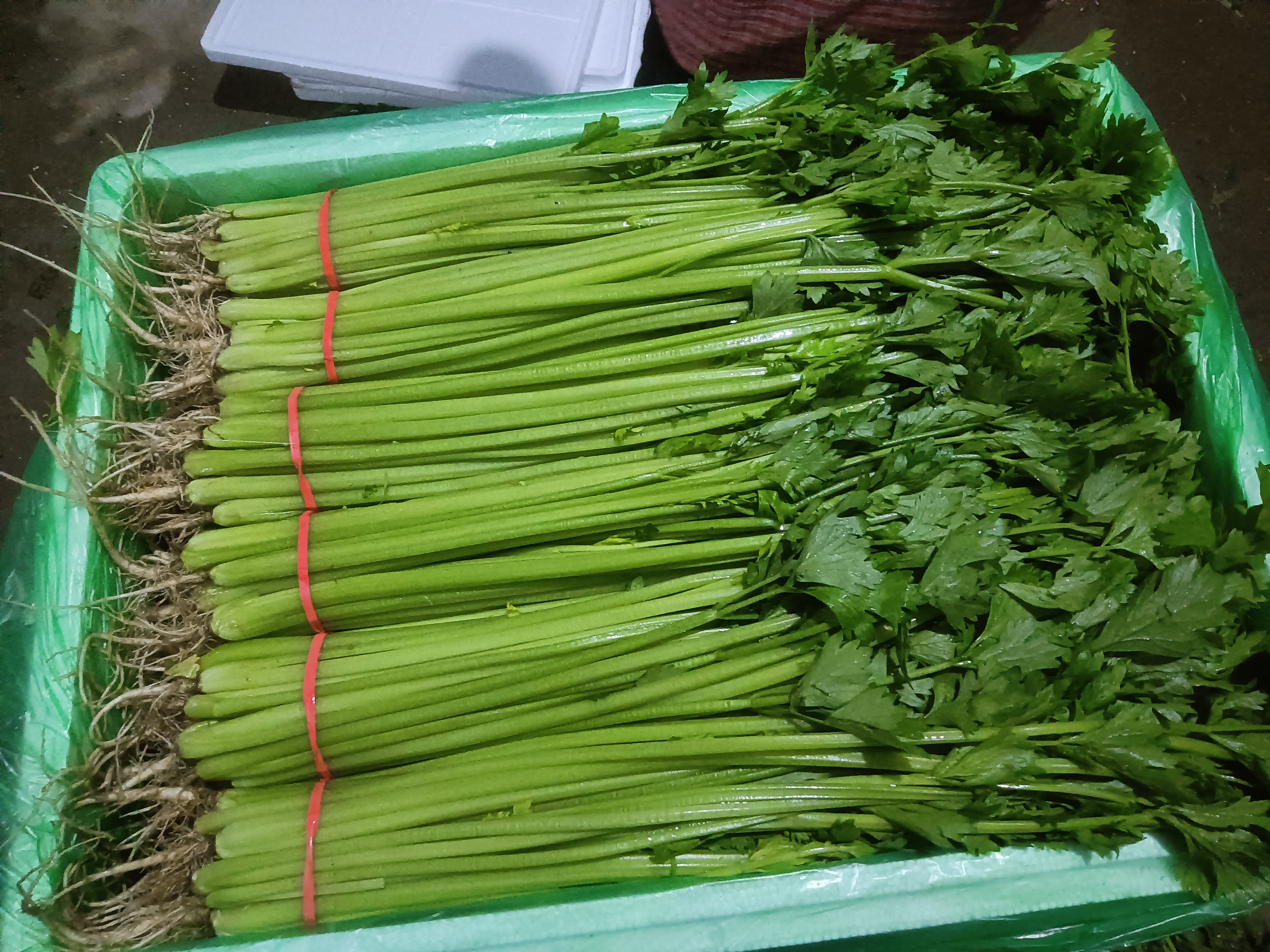 山芹菜焯水后装入保鲜袋准备冷冻保存,旁边摆放着锅具和厨房用品 山芹菜冷冻保存步骤