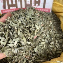 批发零售中药材油柑叶新货