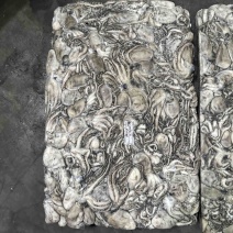 干章20/40章鱼纯干水
