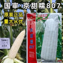 京甜糯807玉米种子北京四海甜糯大棒软糯香甜春秋糯粘玉米