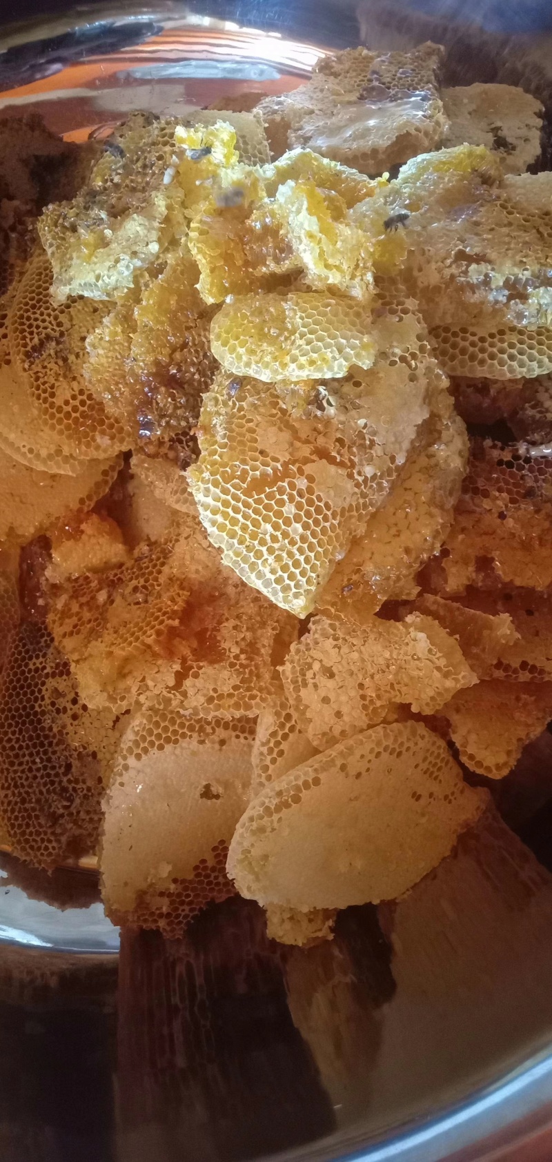 野蜂蜜会过期吗(野蜂蜜放久了是什么样子) 野蜂蜜会过期吗(野蜂蜜放久了是什么样子)