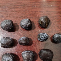 黑枣