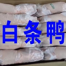 白条鸭，鸭产品，樱桃谷鸭