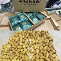 精品香榧榧子一手货源量大从优质量保证欢迎咨询下单