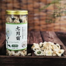 七月菊菊花茶