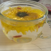 金丝皇菊