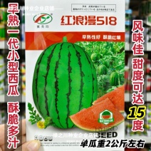 礼品西瓜种子皮薄超甜早熟小果型西瓜种籽糖度高水果种子酥脆