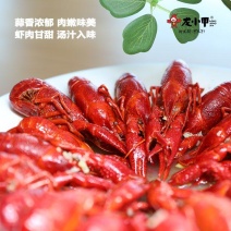 【精品】麻辣小龙虾熟食海鲜活虾现烧各种口味可选