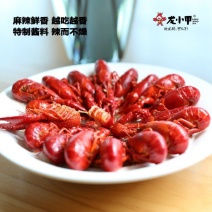【热销】十三香小龙虾加热即食厂家直销量大从优