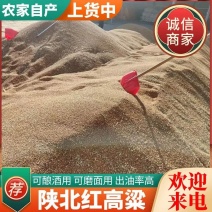 《红高粱》基地批发价格实惠可酿酒可磨面常年供应