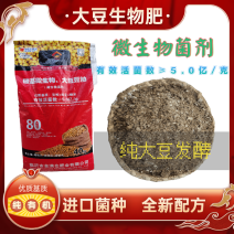 山东临沂直发微生物菌剂大豆豆粕肥5亿/克活性菌优质基质