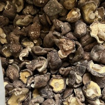 【干香菇】电商专用货全国发货纯干无杂质大量现货