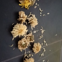 怀菊花