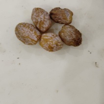 银杏果