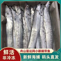 舟山小眼带鱼新鲜整条冷冻东海刀鱼大海鲜特产鲜活新鲜水产