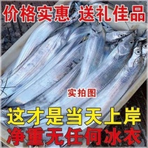 顺丰包邮【1-3斤/条带鱼】大带鱼东海带鱼新鲜鲜活东海鱼