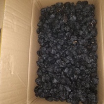 自己当地的软枣无核非常好吃