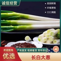 安阳长白大葱，量大从优，可视频现场看货。欢迎咨询