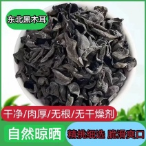 木耳东北黑木耳品质好价格低对接全国欢迎各地客商对接诚信