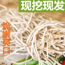 鱼腥草折耳根节节根湖北鱼腥草精品鱼腥草新鲜鱼腥草