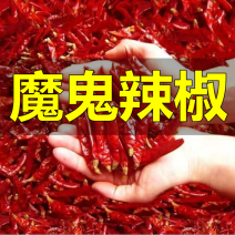 干辣椒特辣小米辣椒魔鬼椒辣椒粉辣椒面微辣红干辣椒段朝天椒批发