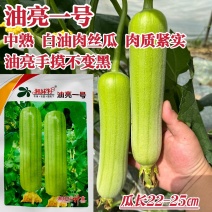 湘妹籽油亮一号肉丝瓜种子白绿色丝瓜种籽短棒油亮白油水瓜种