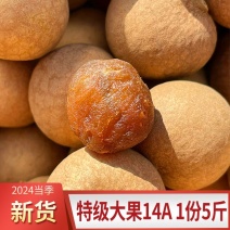【净重】特大颗粒龙眼干核小肉厚福建桂圆干桂圆肉**血零食批发