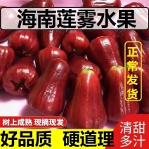 当季海南莲雾水果热带新鲜水果黑金刚莲雾果孕妇水果补水仙女果批