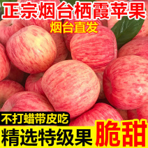 正宗山东烟台红富士苹果脆新鲜水果冰糖心栖霞条纹苹果一整箱批发