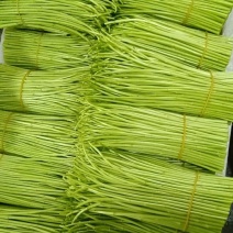 离蒿
