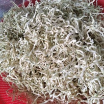 新鲜木瓜丝，天然无添加，爽口美味，健康佳品，适合凉拌酱菜