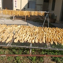 传承千年的手工客家腐竹