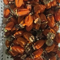 富平庄里柿饼