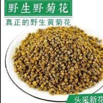 贵州野生菊花茶新货头菜晾晒黄金菊花
