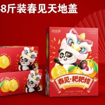 春见耙耙柑天地盖礼盒包装彩箱春节送朋友上档次